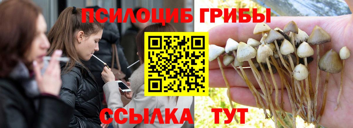 Псилоцибиновые грибы Magic Shrooms Усинск